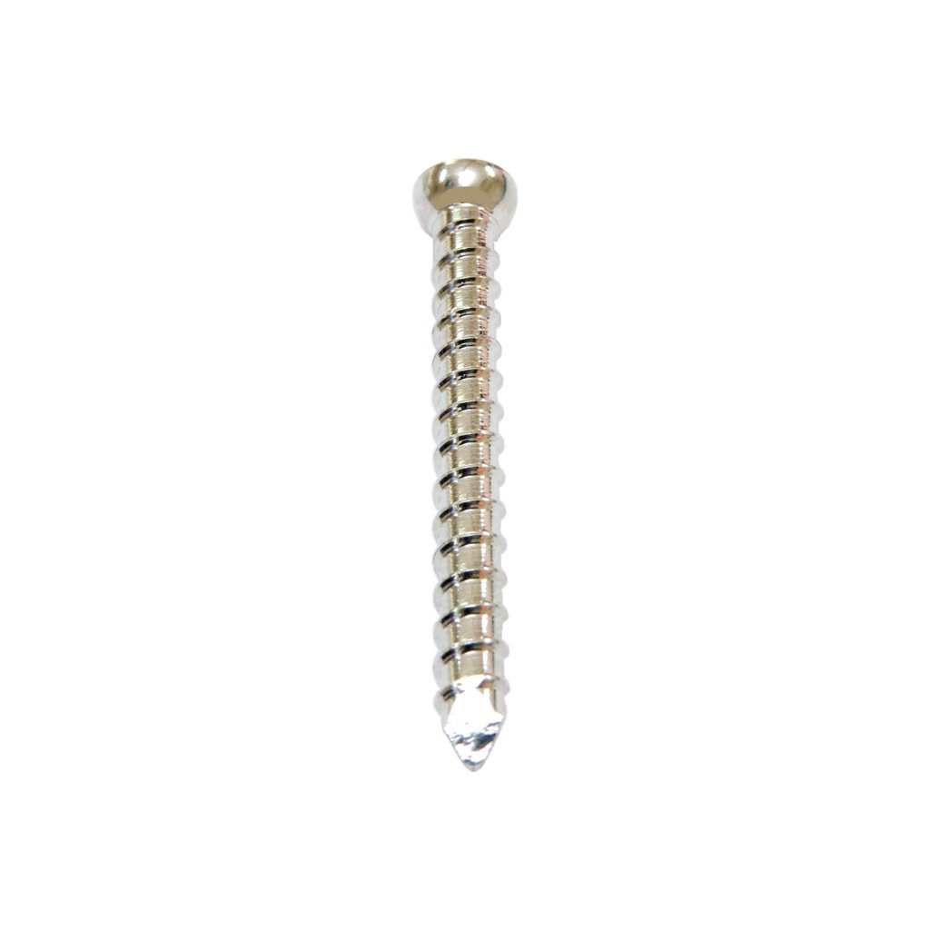BOLT LOCKING SCREW (استیل)